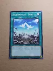Raidraptor - Nest