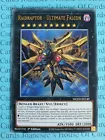 Raidraptor - Ultimate Falcon