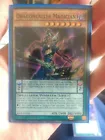 Dragoncaller Magician