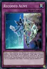 Super Solar Nutrient
