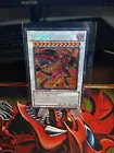 Red Nova Dragon