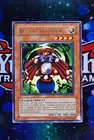 Card Guard