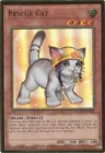 Rescue Cat