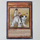Rescue Cat