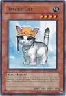 Rescue Cat