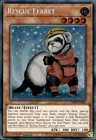Rescue Ferret
