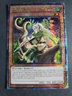 Ritual Beast Tamer Elder