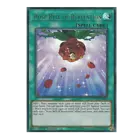 Rose Bell of Revelation