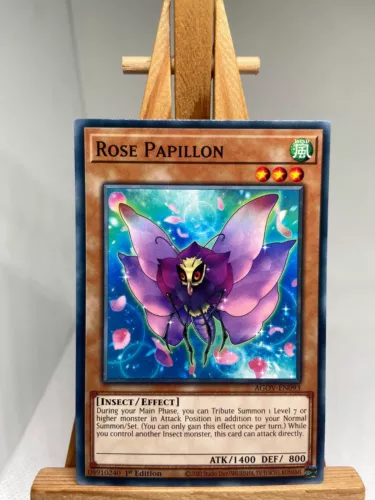 Rose Papillon
