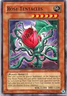 Rose Tentacles