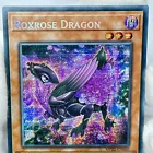 Roxrose Dragon