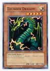 Thunder Dragon