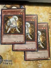 Ryko, Lightsworn Hunter