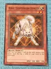Ryko, Lightsworn Hunter