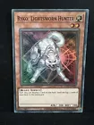 Ryko, Lightsworn Hunter