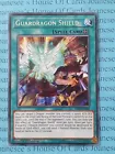 Guardragon Shield