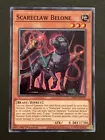Scareclaw Belone