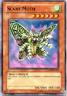 Scary Moth