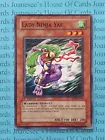 Lady Ninja Yae