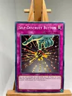 Self-Destruct Button
