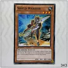 Shield Warrior
