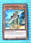 Shield Warrior