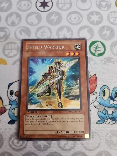 Shield Warrior