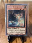 Shining Star Dragon