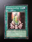 Shooting Star Bow - Ceal