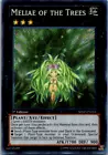 Meliae of the Trees