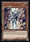 Silent Magician LV8