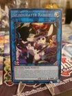 Silhouhatte Rabbit