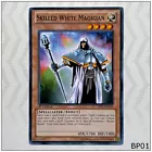 Skilled White Magician