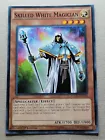 Skilled White Magician