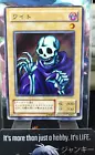 B. Skull Dragon