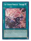 Sky Striker Mobilize - Engage!