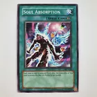 Soul Absorption
