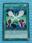 Soul Exchange