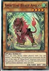 Spiritual Beast Apelio