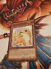 Kidmodo Dragon