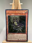 Star Seraph Sovereignty