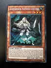 Amazoness Archer
