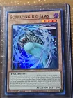 Surfacing Big Jaws