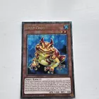 Swap Frog