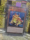 Swap Frog