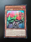 Sylvan Cherubsprout