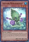 Sylvan Marshalleaf