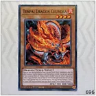 Number C5: Chaos Chimera Dragon