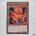 Number C5: Chaos Chimera Dragon