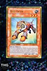 Brotherhood of the Fire Fist - Tiger King